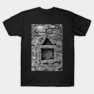 Wall Detail in Dvigrad T-Shirt